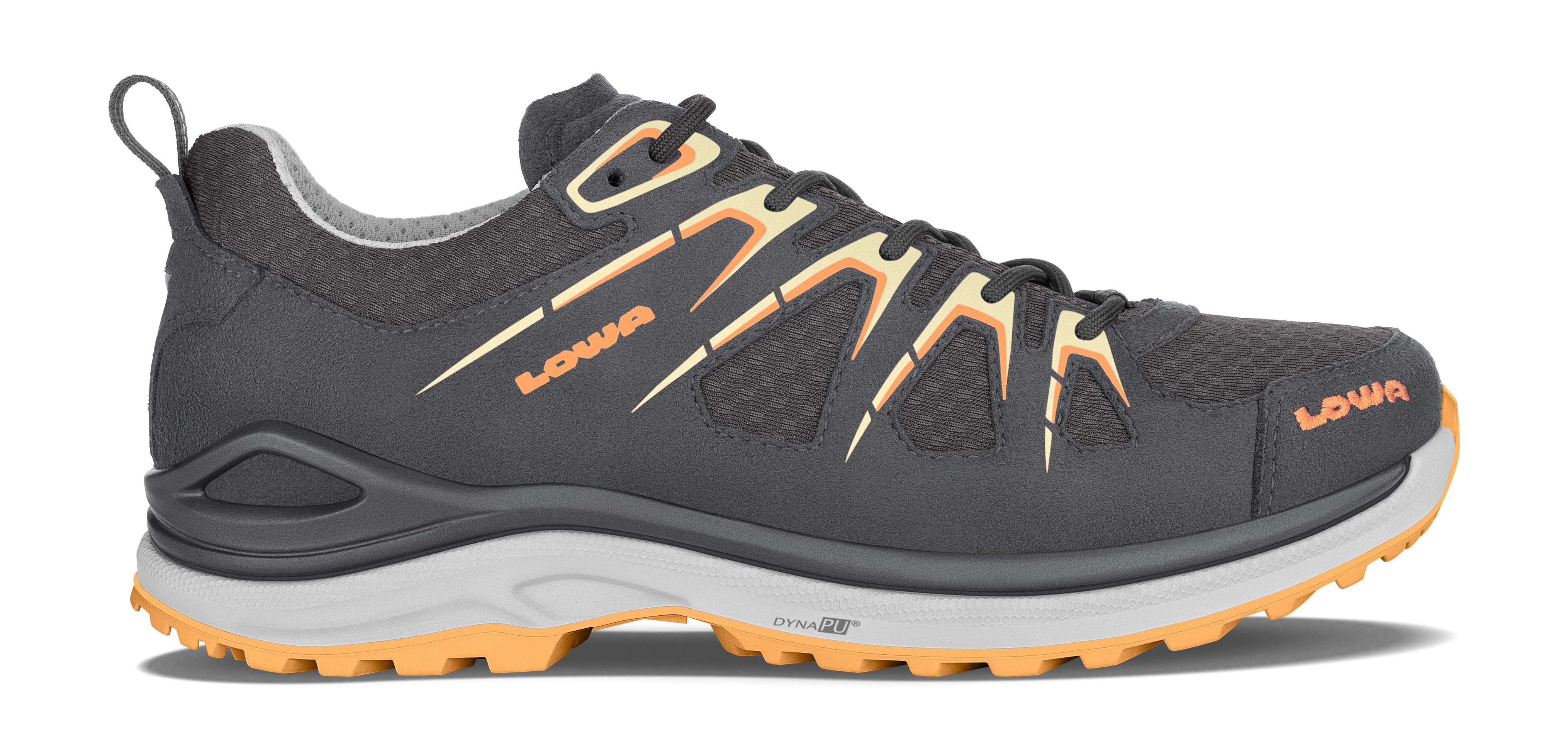 Damen Multifunktionsschuhe INNOX EVO GTX LO Ws