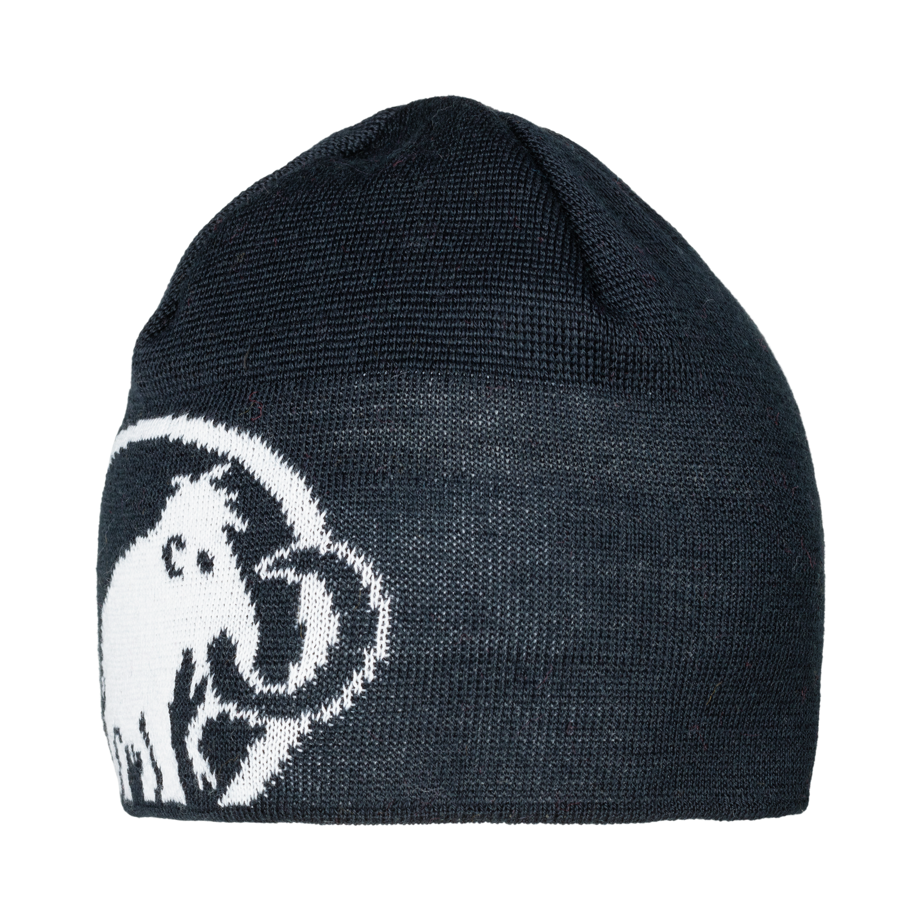 Tweak Beanie