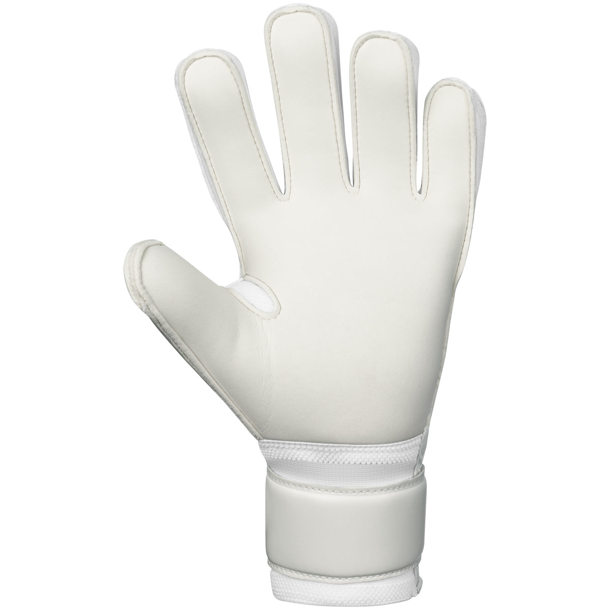 TW-Handschuh Animal Basic RC