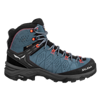 WS ALP TRAINER 2 MID GTX