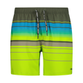 SHORTS MEDIUM Herren