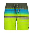 SHORTS MEDIUM Herren