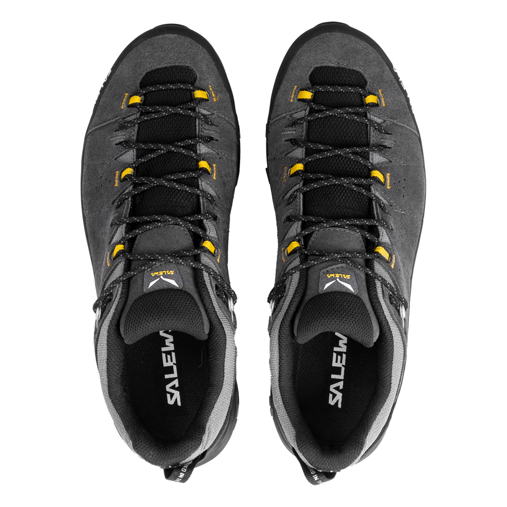 ALP TRAINER 2 GTX M