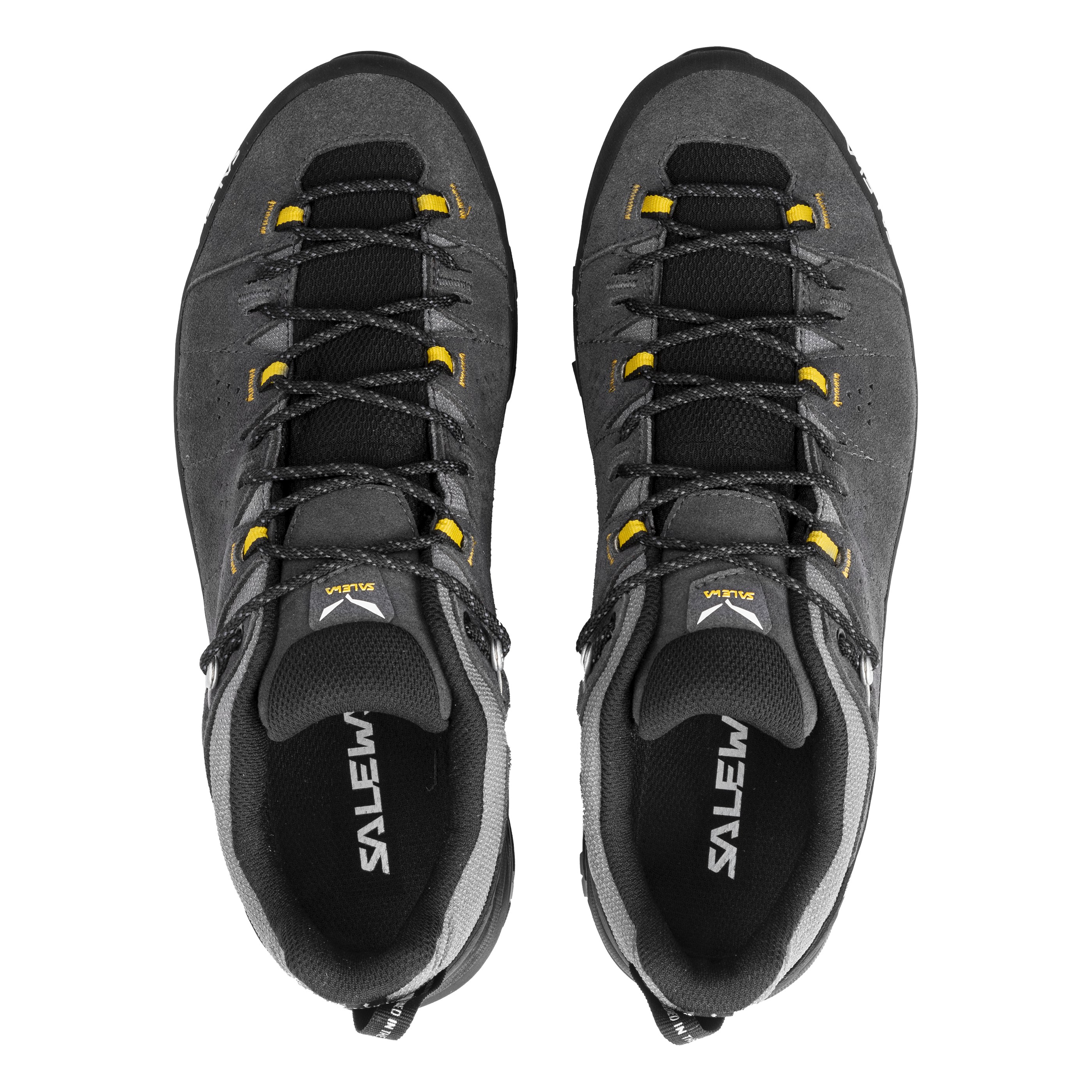 ALP TRAINER 2 GTX M