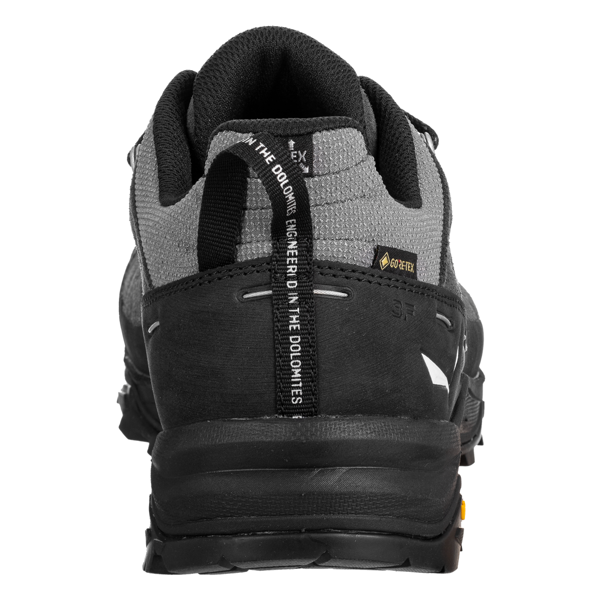 ALP TRAINER 2 GTX M