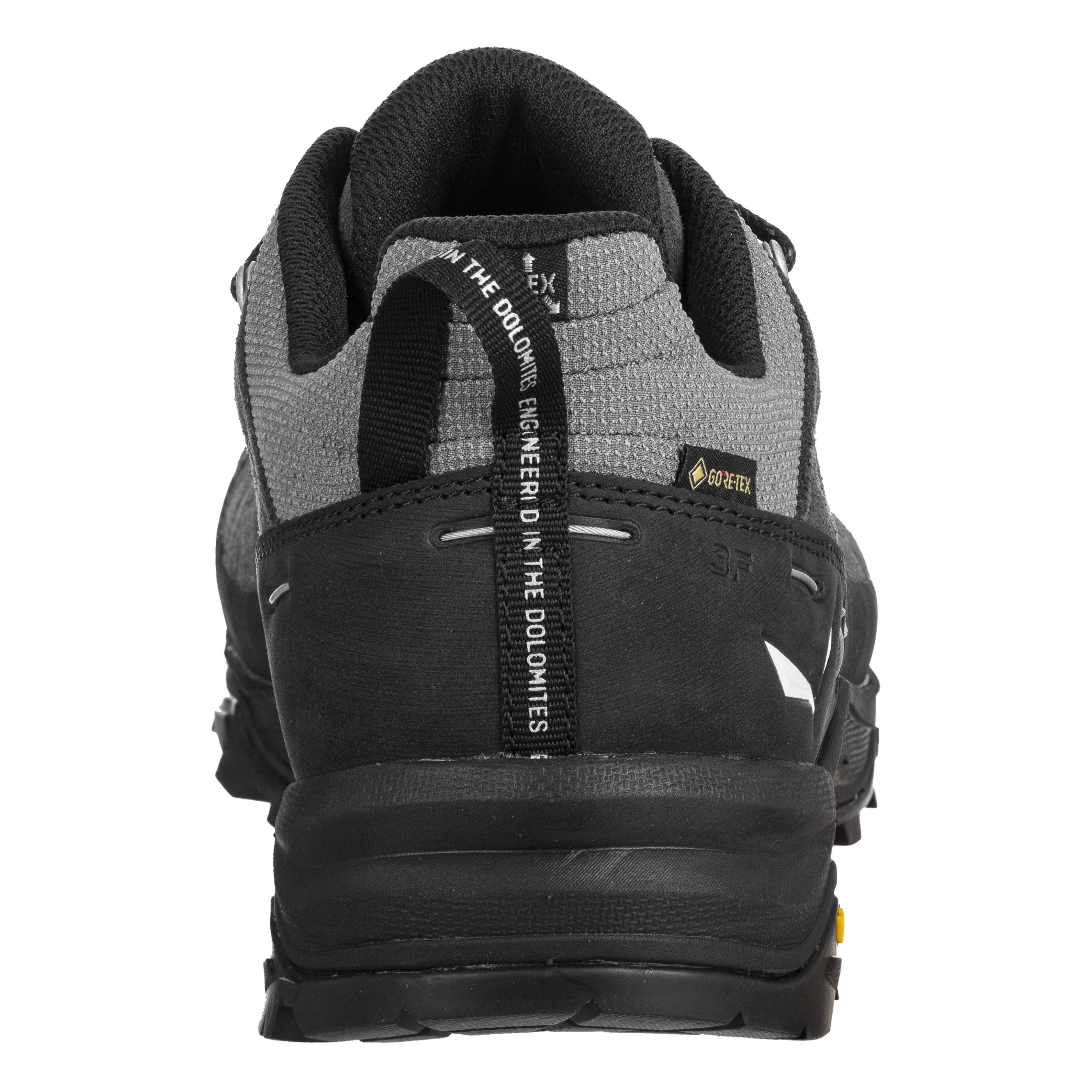 ALP TRAINER 2 GTX M