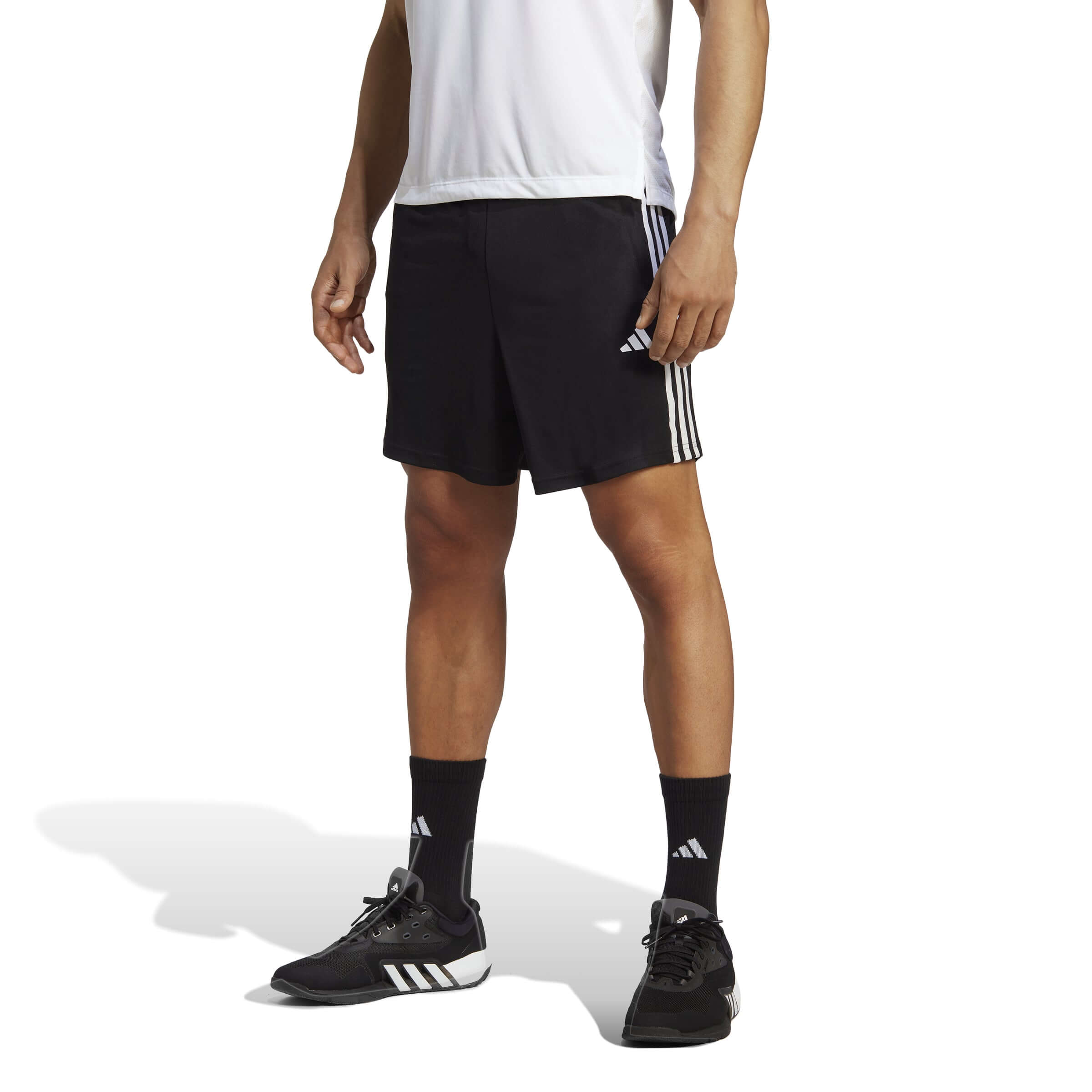 Herren Shorts TR-ES PIQ 3SHO