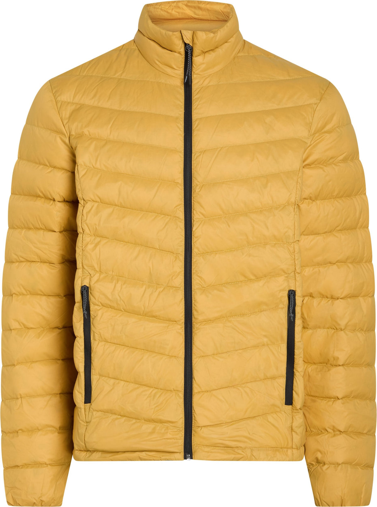 Arlo JKT M Funktionsjacke für Herren
