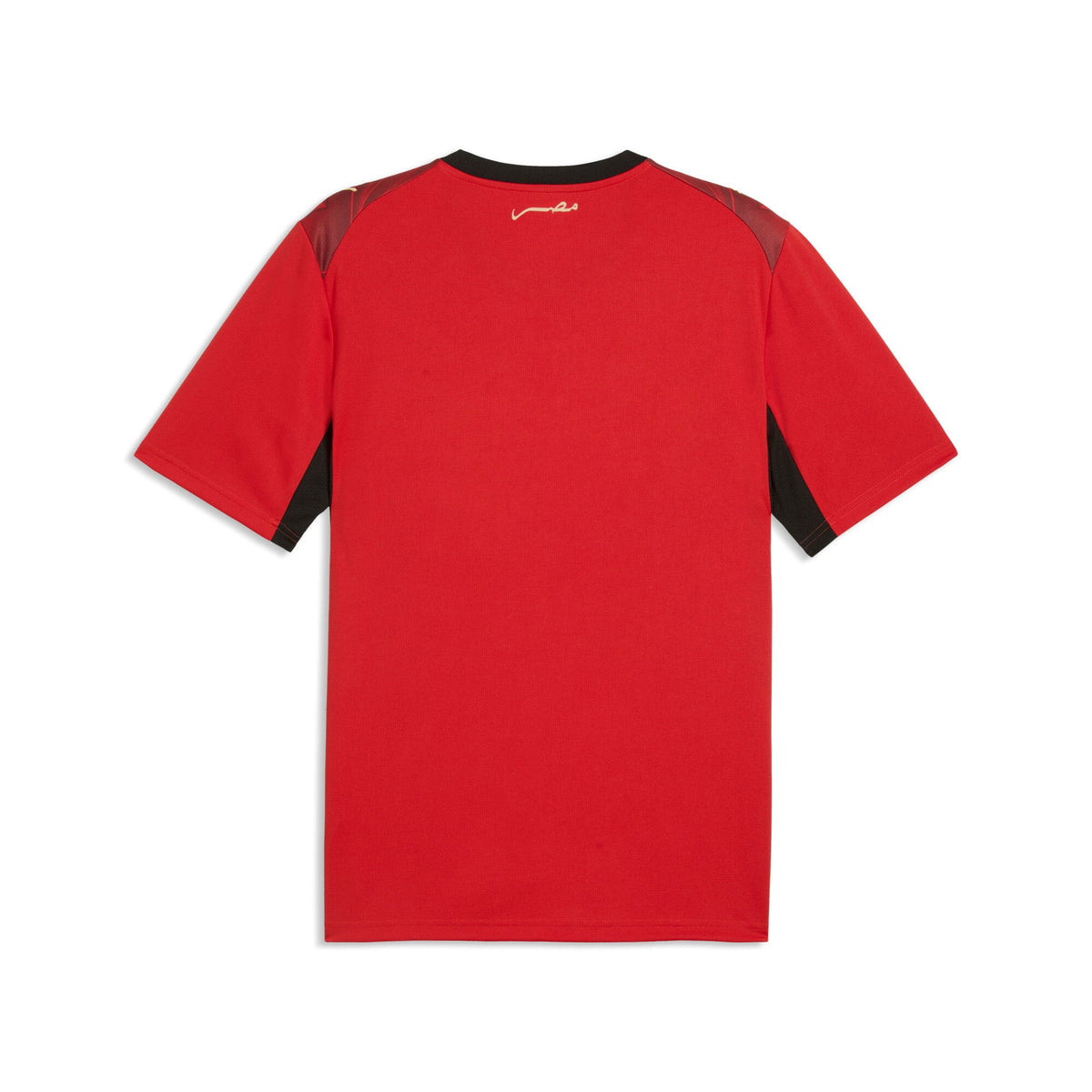 WM Trikot Ägypten