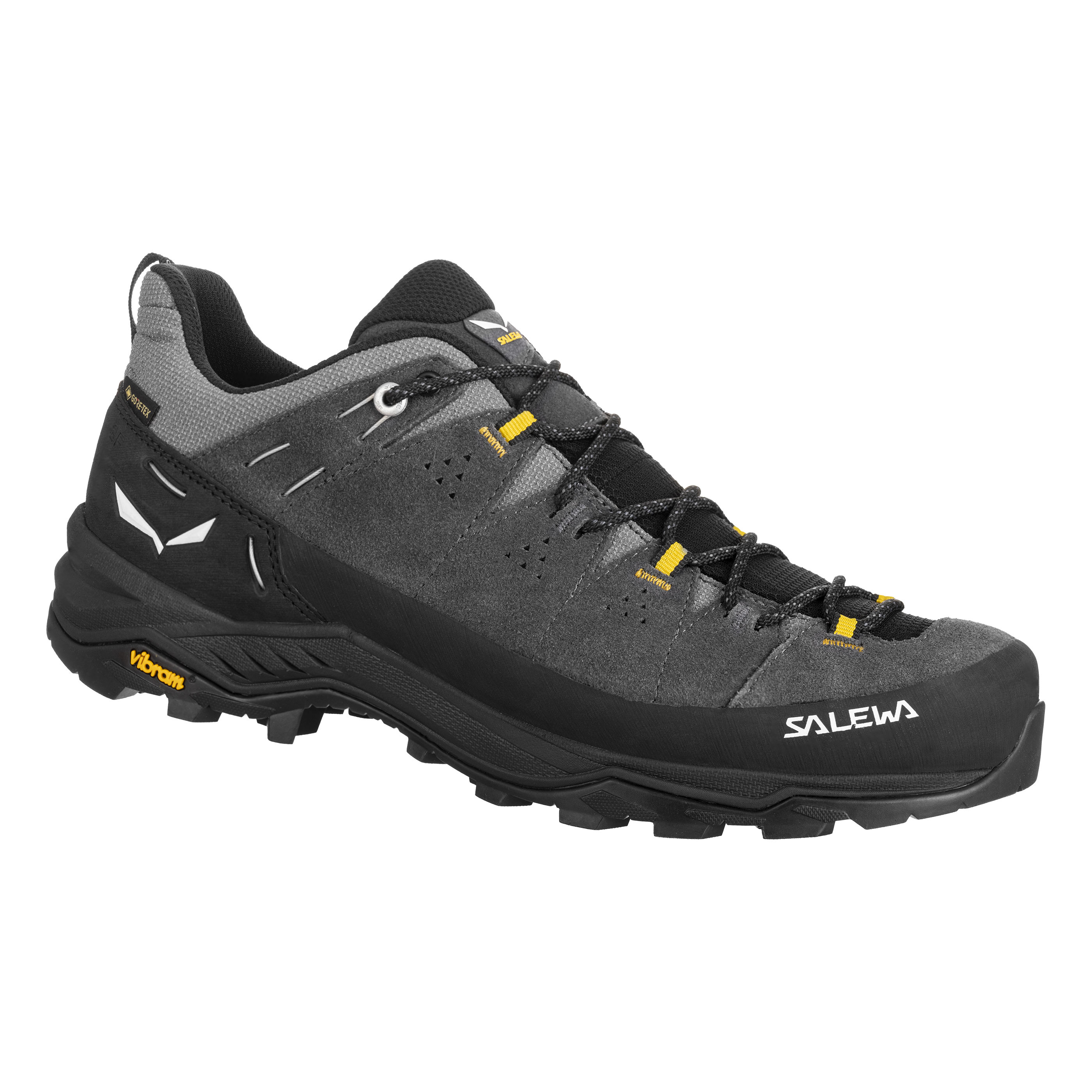 ALP TRAINER 2 GTX M