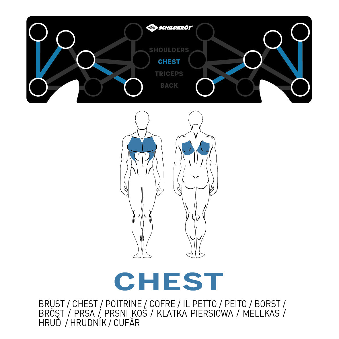 PUSH-UP MULTITRAINER (Push-Up Board