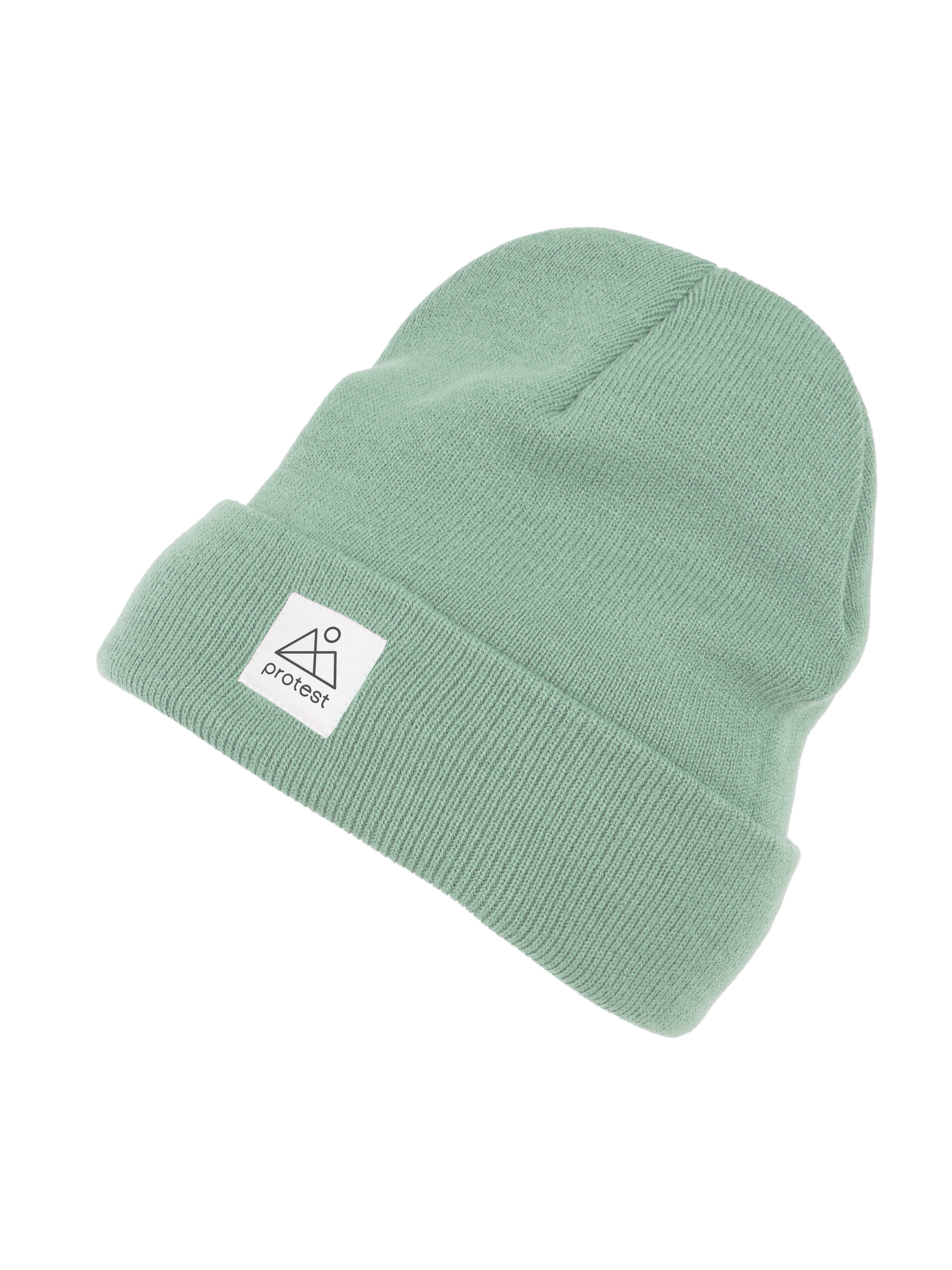 PRTPRI24 beanie