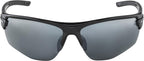Brille TRI-SCRAY 2.0 HR Herren