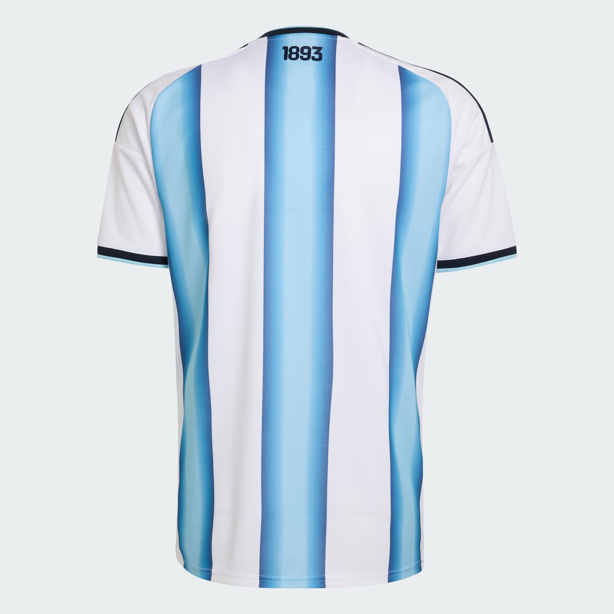 Argentinien 26 Heimtrikot AFA H JSY D