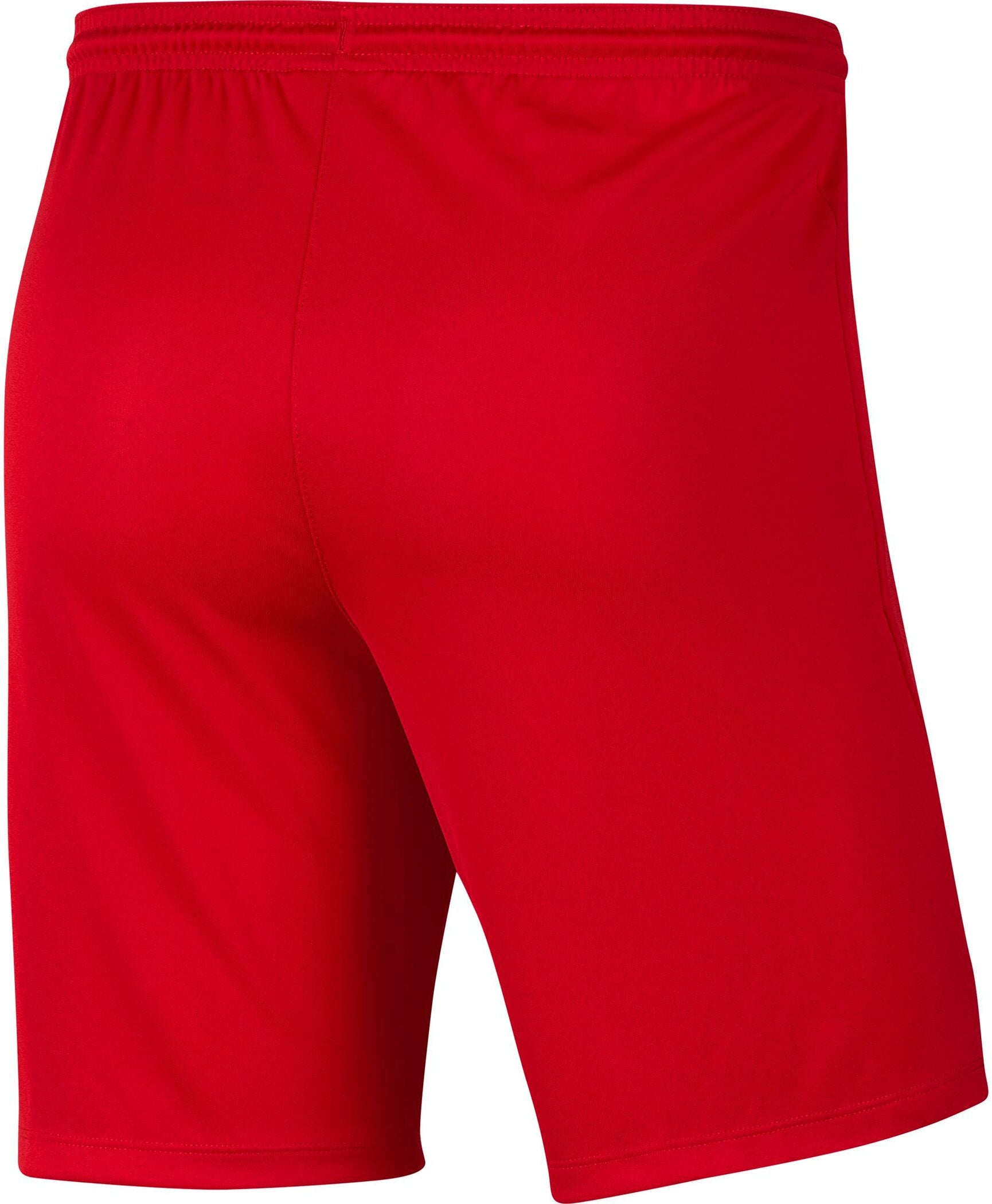 Herren Teamshorts Dri-FIT PARK III