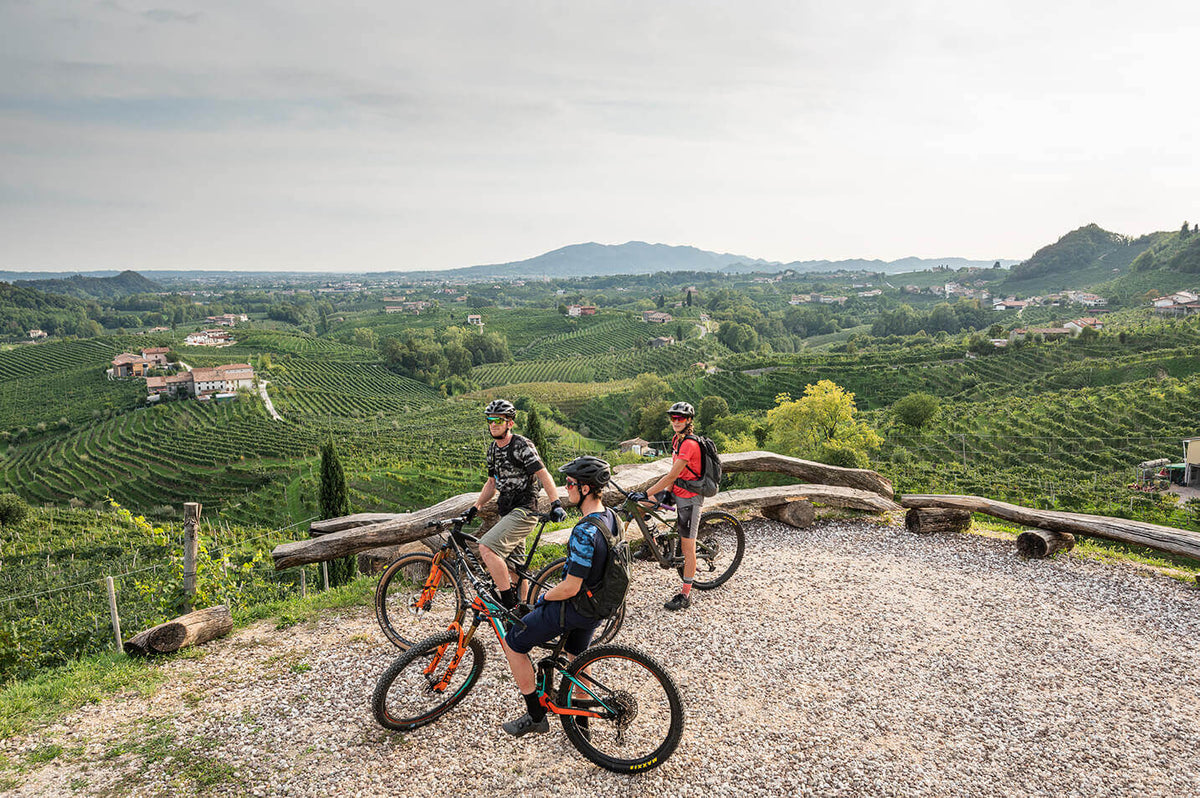 Drei Freunde tragen Radtrikots und Radhelme