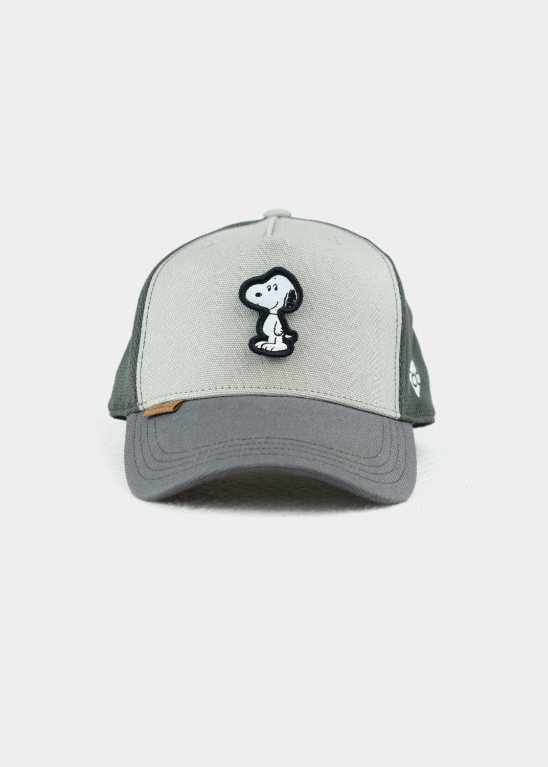 PEANUTS: TRANSFORMER CURVED