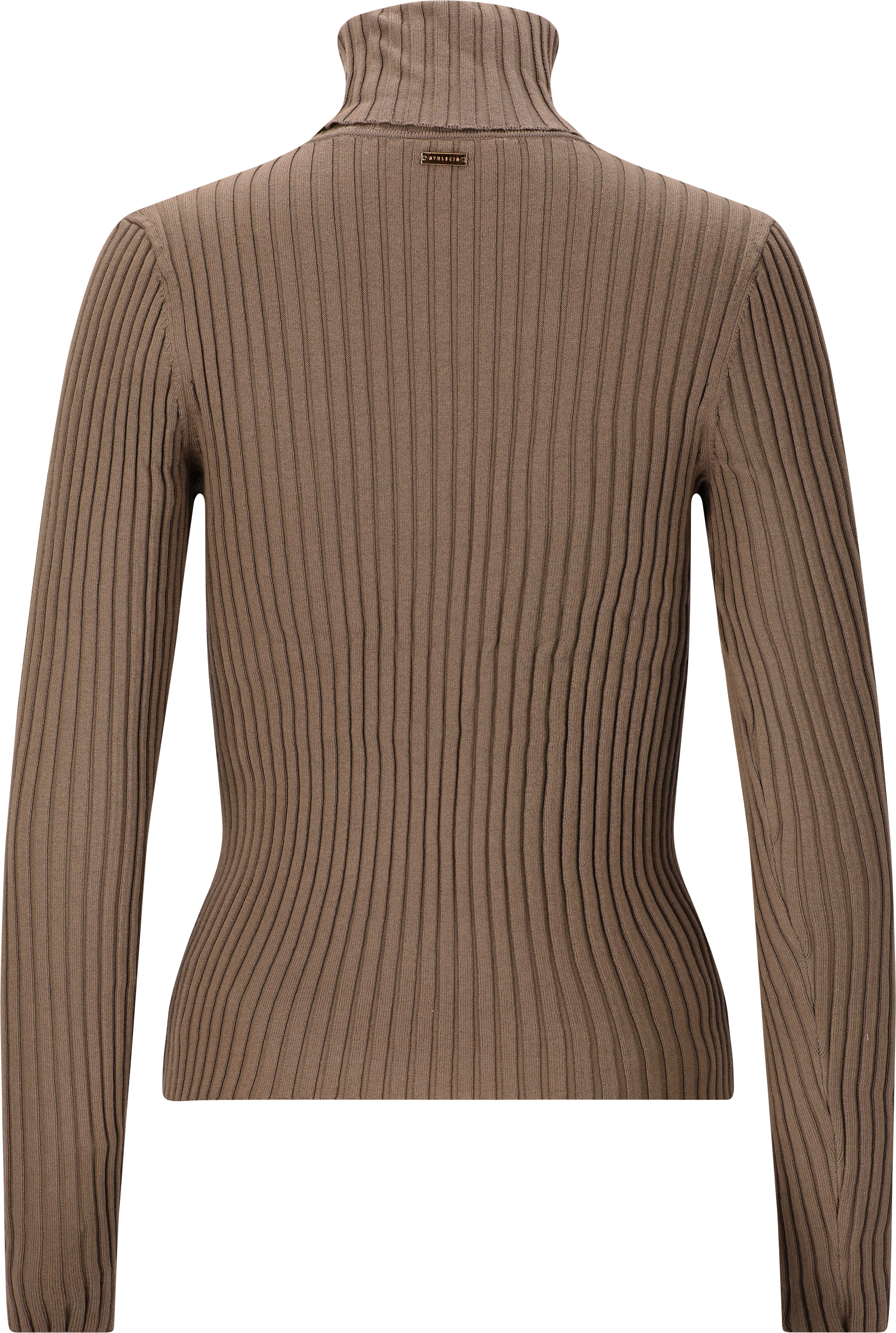 Jelina W Ribbed Turtleneck