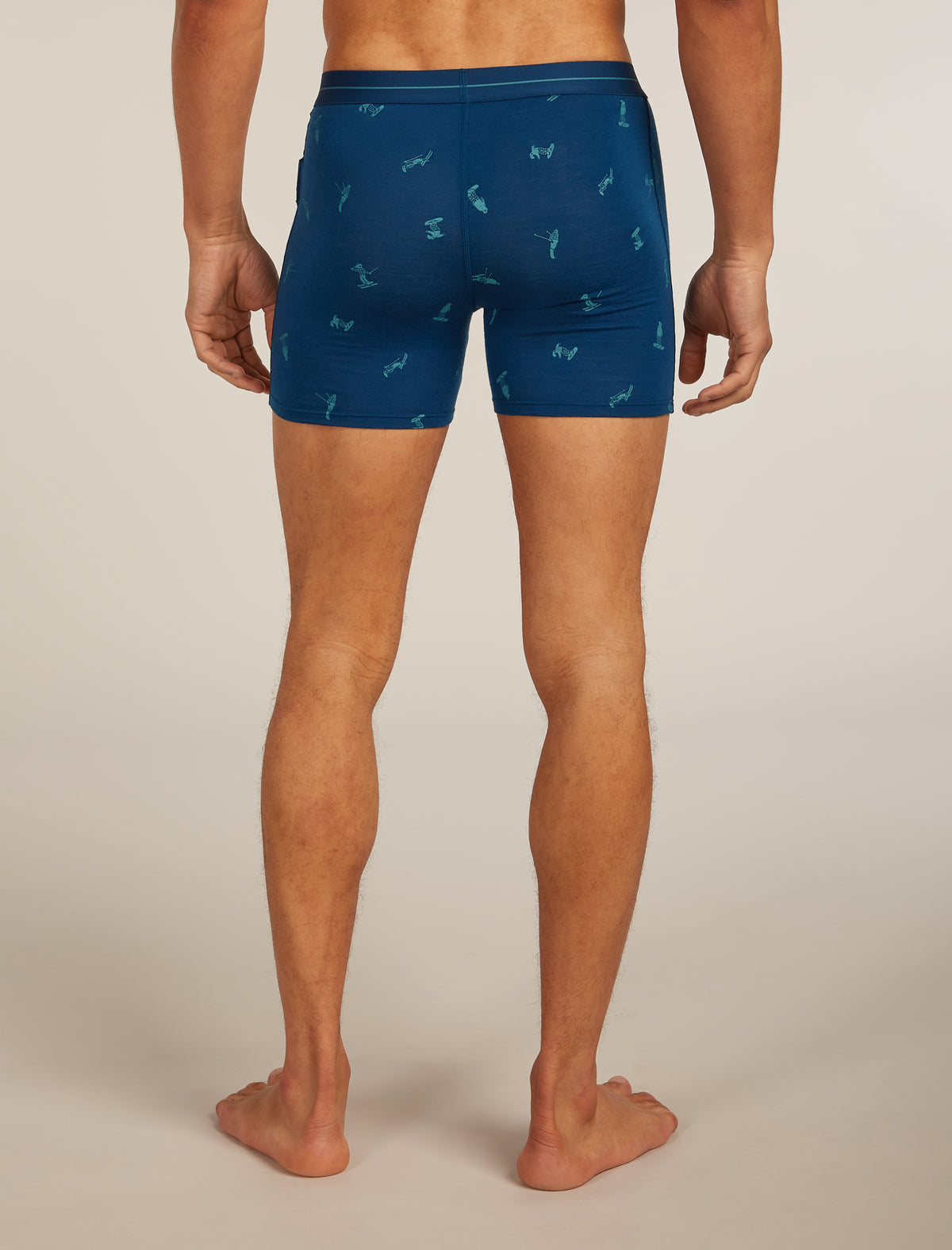 Men Merino 150 Anatomica Boxers Snow Day