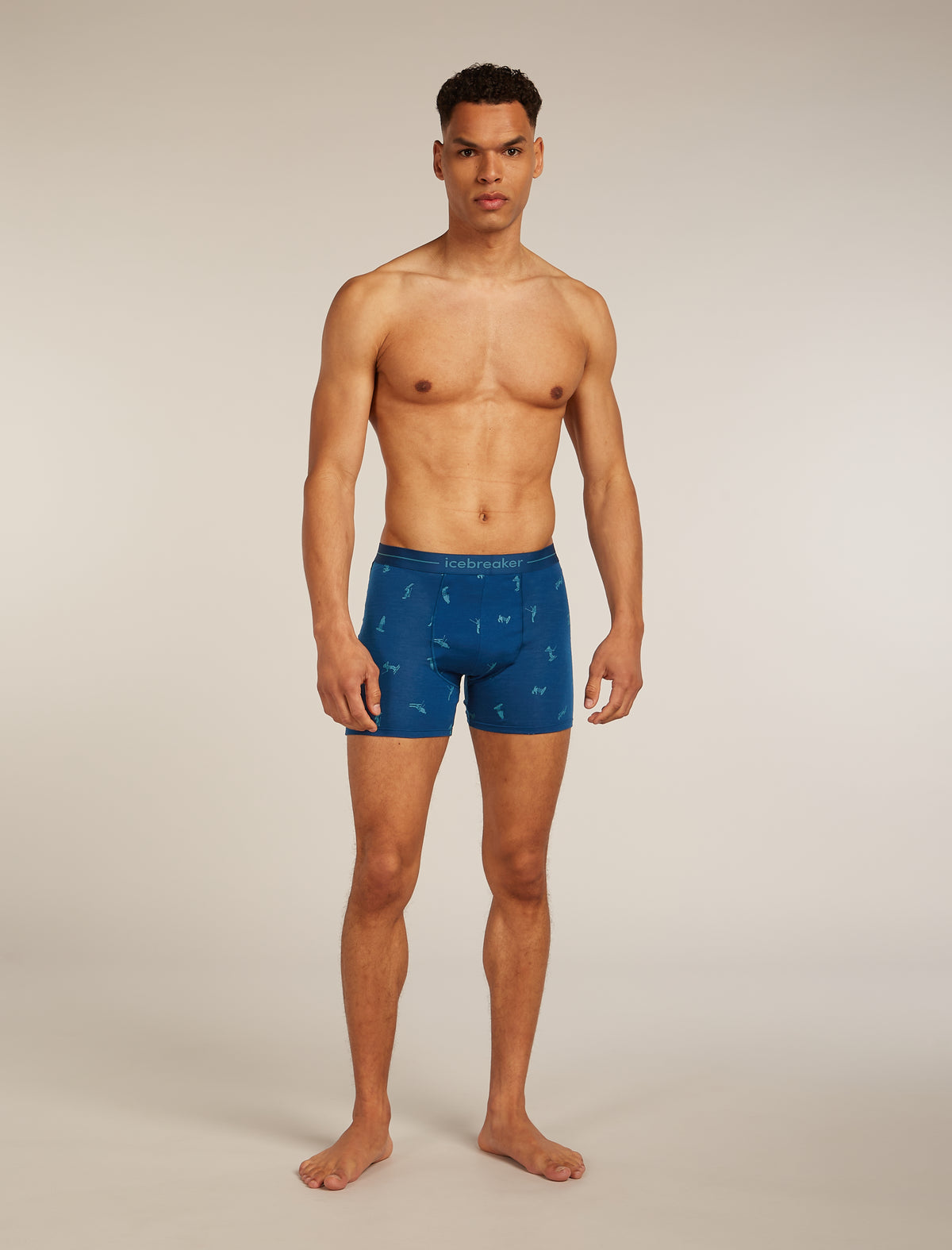Men Merino 150 Anatomica Boxers Snow Day