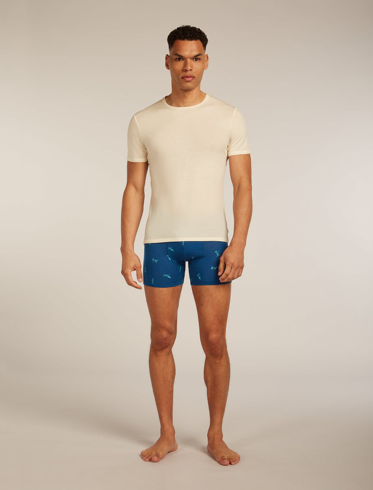Men Merino 150 Anatomica Boxers Snow Day
