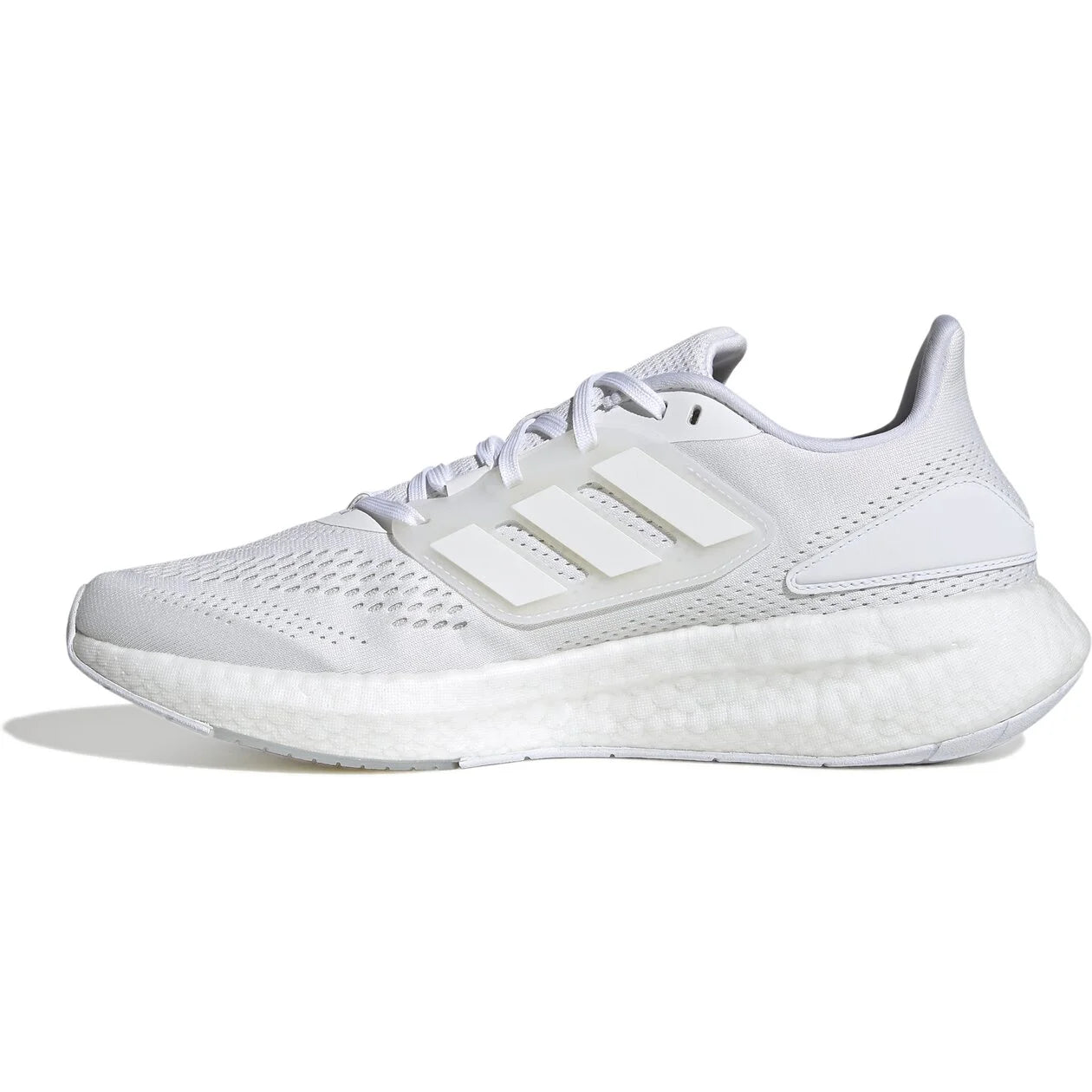 PUREBOOST 22