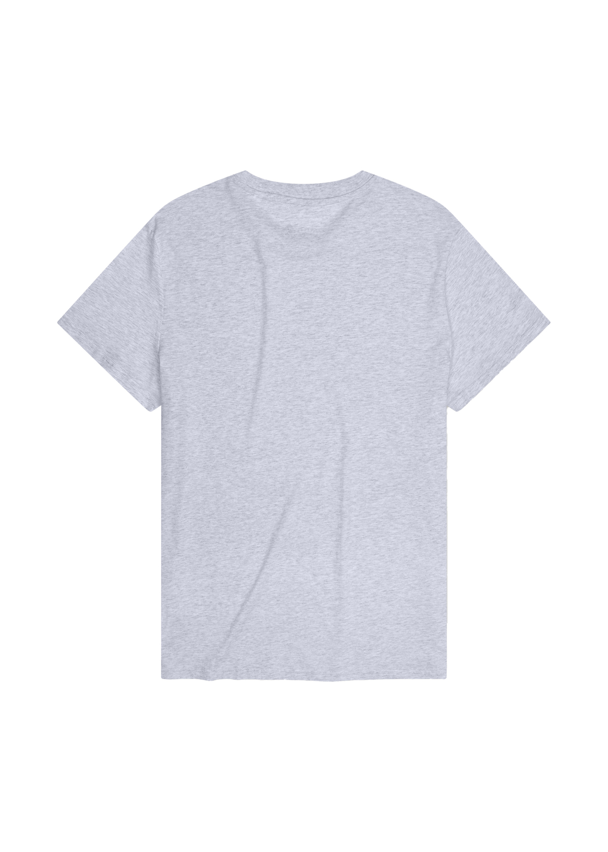 T-Shirt RENNRADLER hellgrau Herren