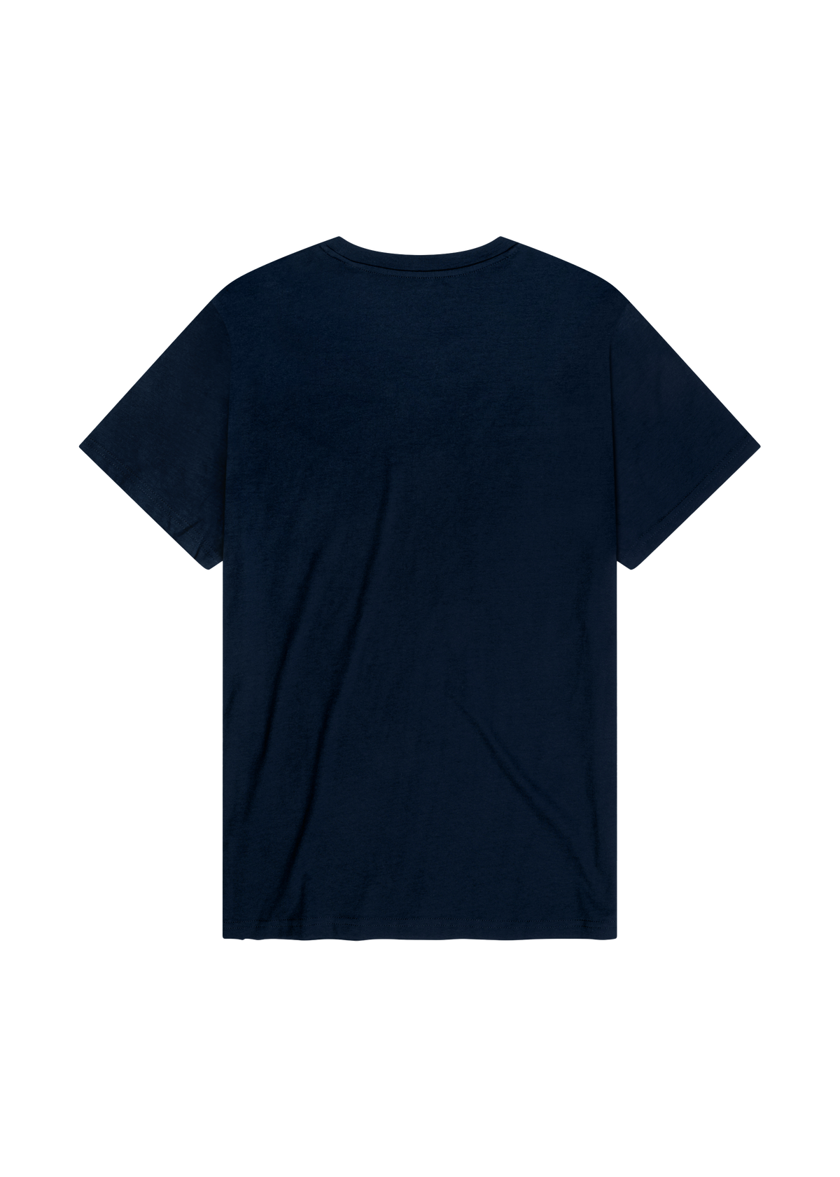 T-Shirt WINTERGIPFEL blau Herren