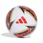 DFL LGE BOX Fußball