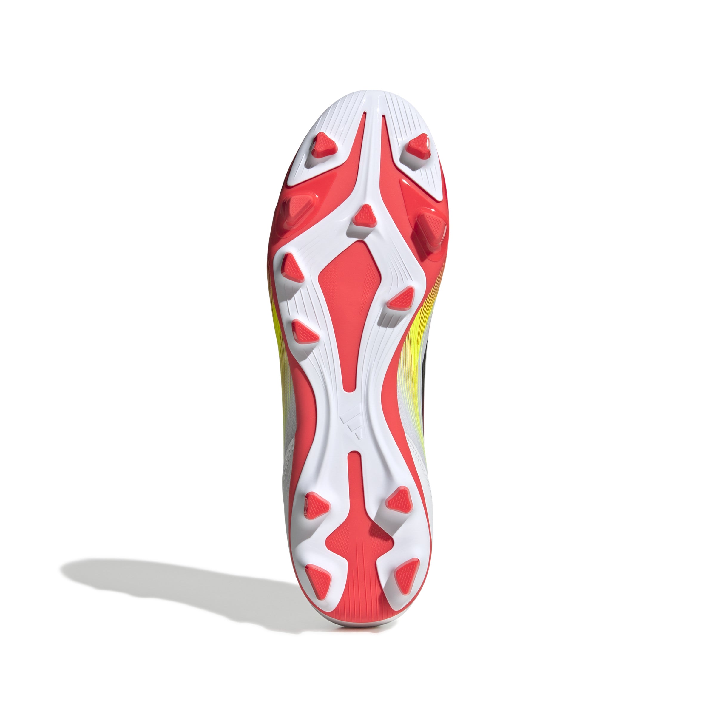 F50 CLUB FG/MG