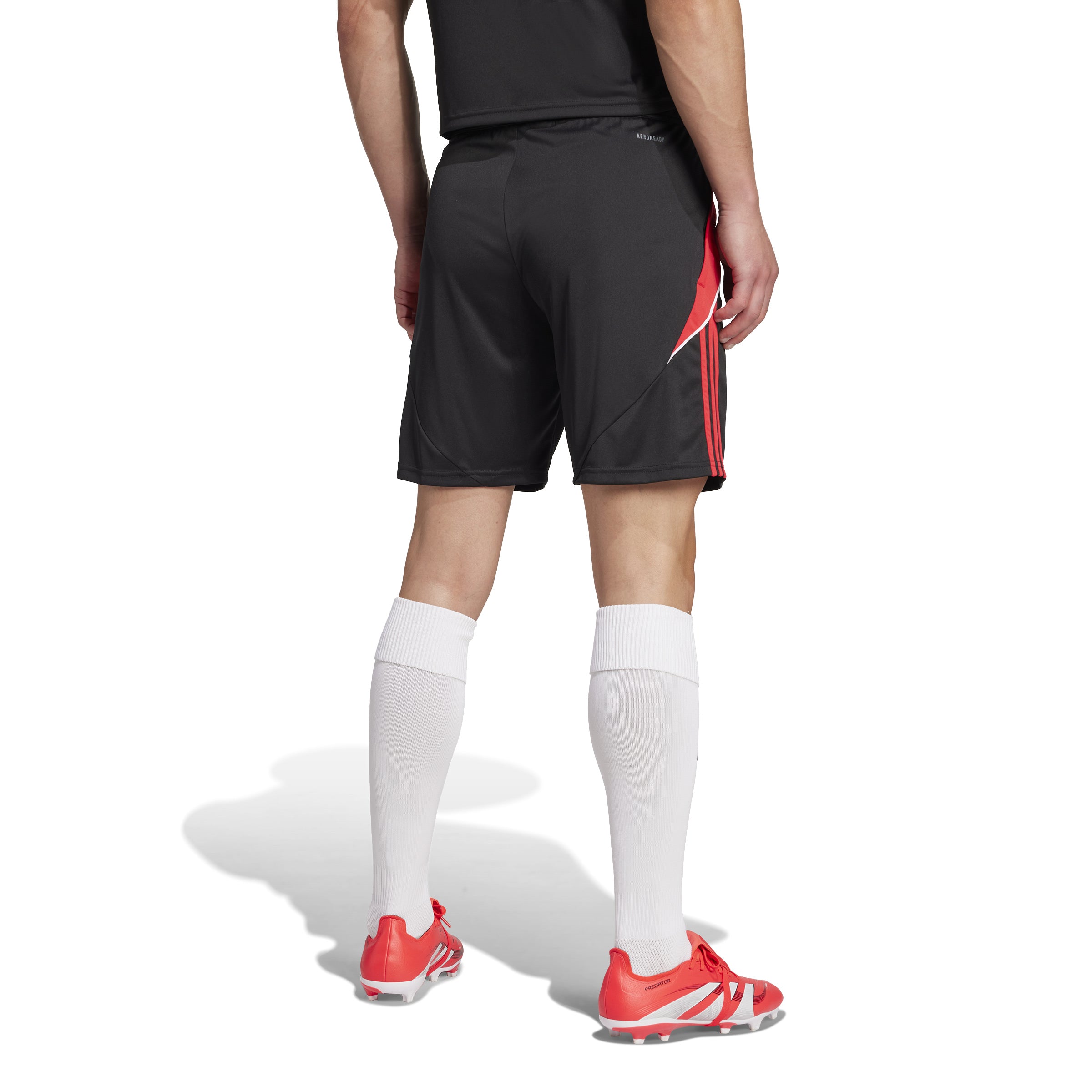 ADIDAS TIRO24 TRSHO Herren Sporthose BLACK/PURRUB