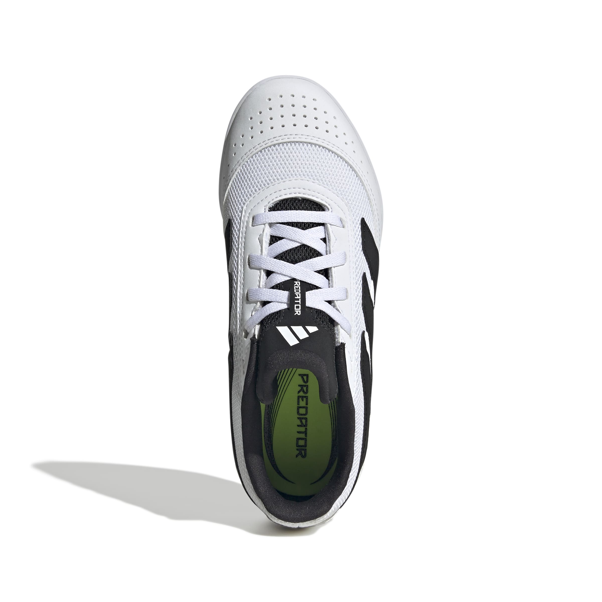 PREDATOR CLUB IN SALA J