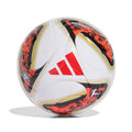 DFL LGE Fußball