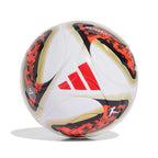 DFL LGE Fußball