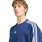 3S FL SWT Herren Pullover