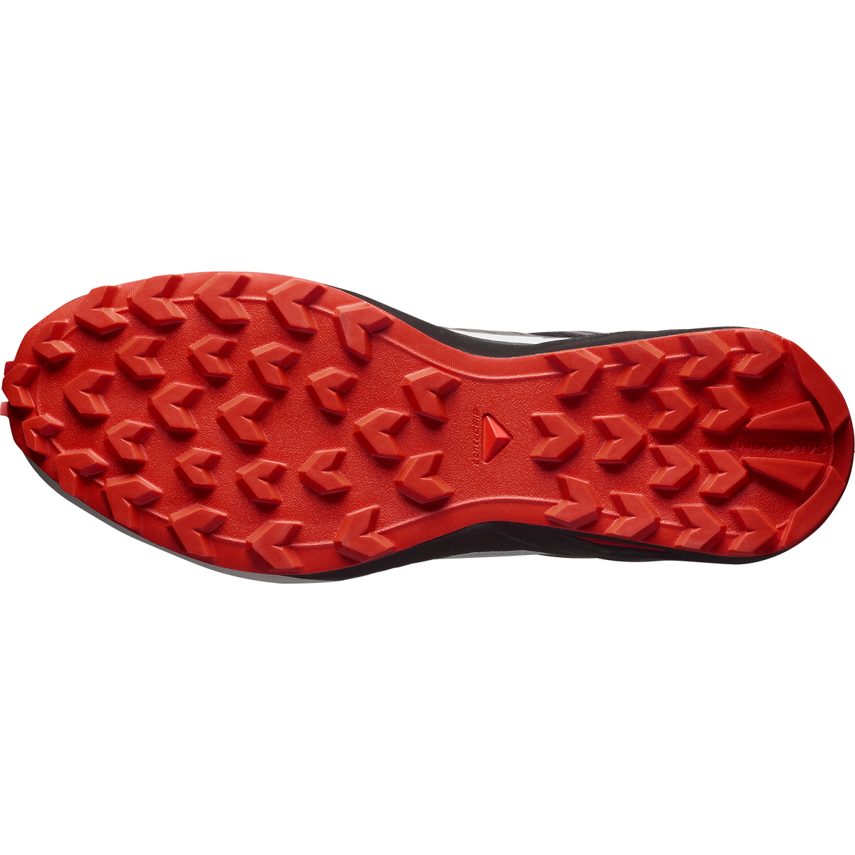 SPEEDCROSS PEAK GTX Herren Traillaufschuh