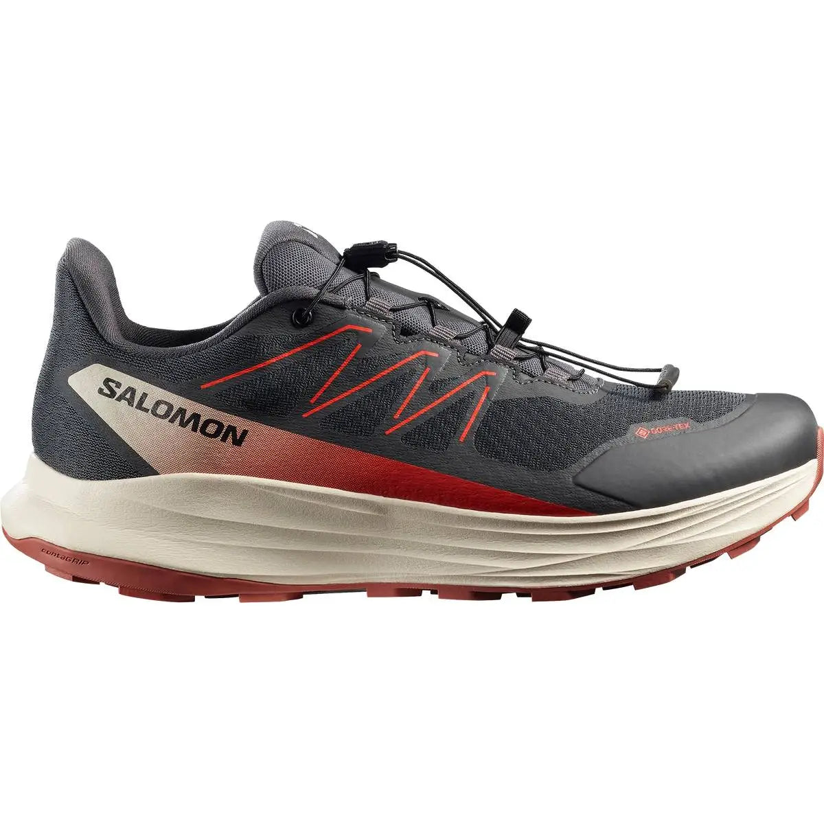SHOES ALPHARIDE 2 GTX Asphal/Arabia