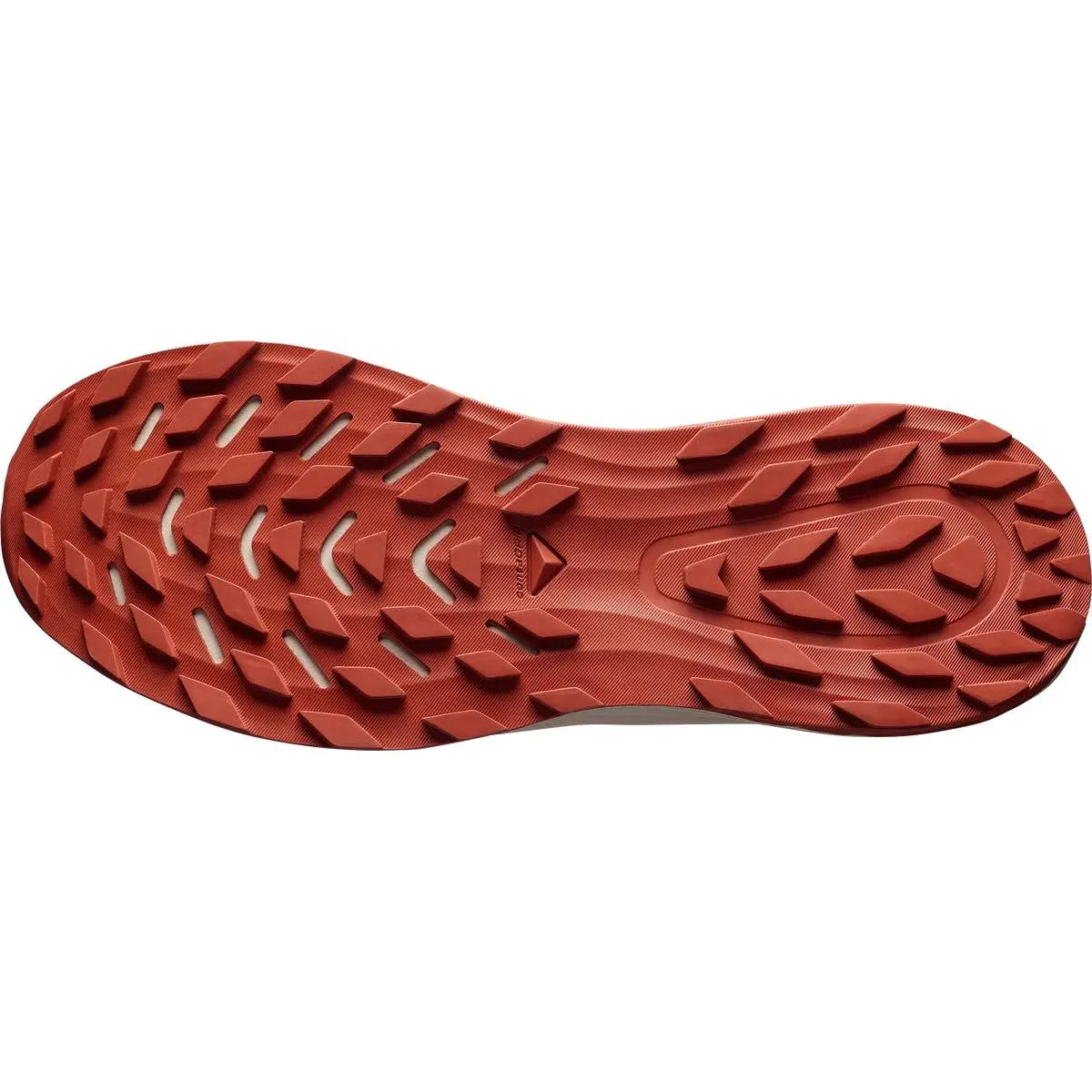SHOES ALPHARIDE 2 GTX Asphal/Arabia