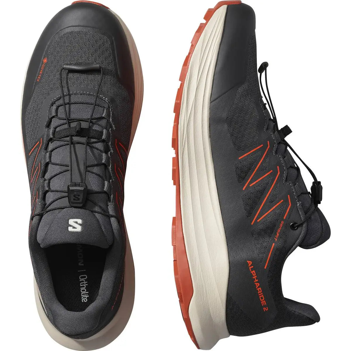 SHOES ALPHARIDE 2 GTX Asphal/Arabia