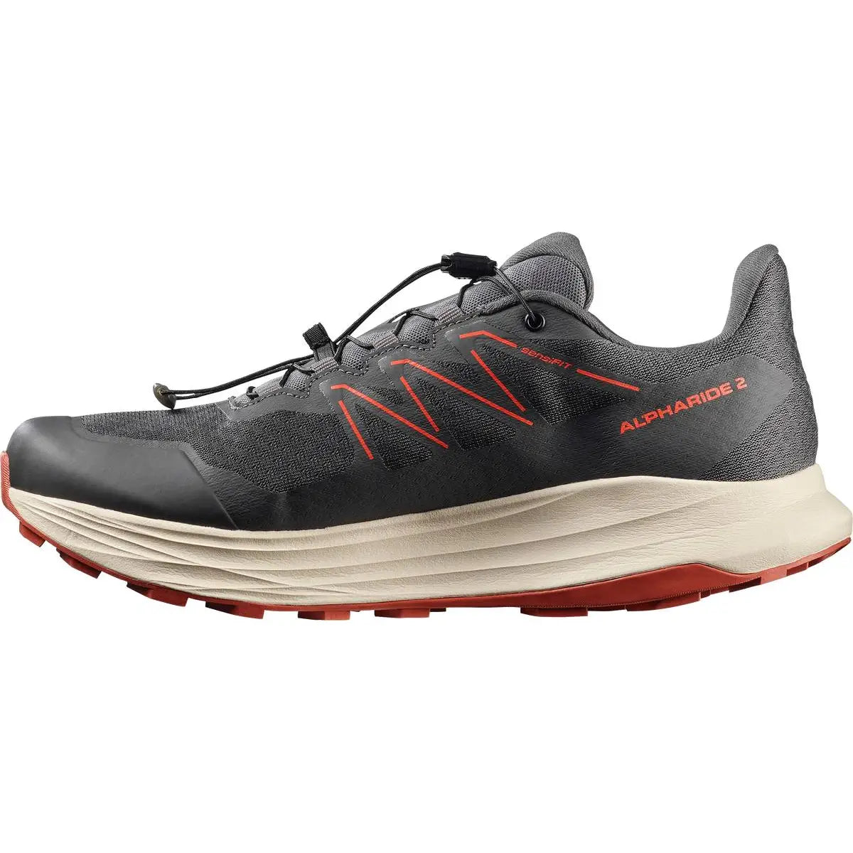 SHOES ALPHARIDE 2 GTX Asphal/Arabia