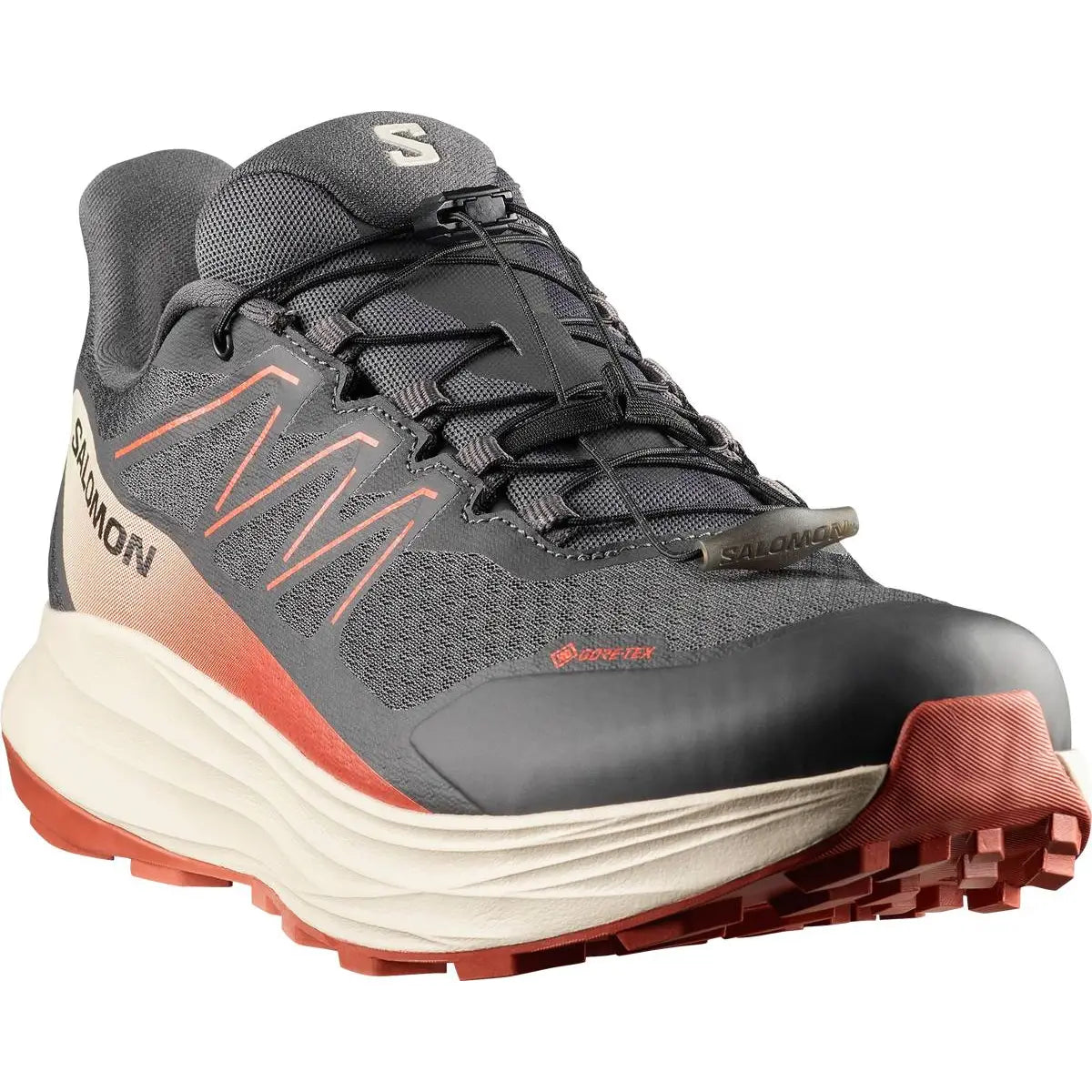 SHOES ALPHARIDE 2 GTX Asphal/Arabia