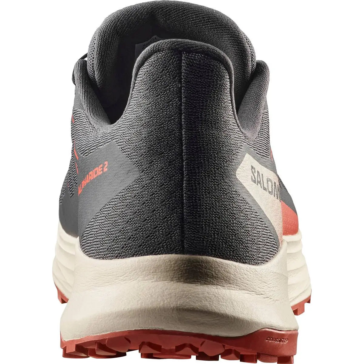 SHOES ALPHARIDE 2 GTX Asphal/Arabia