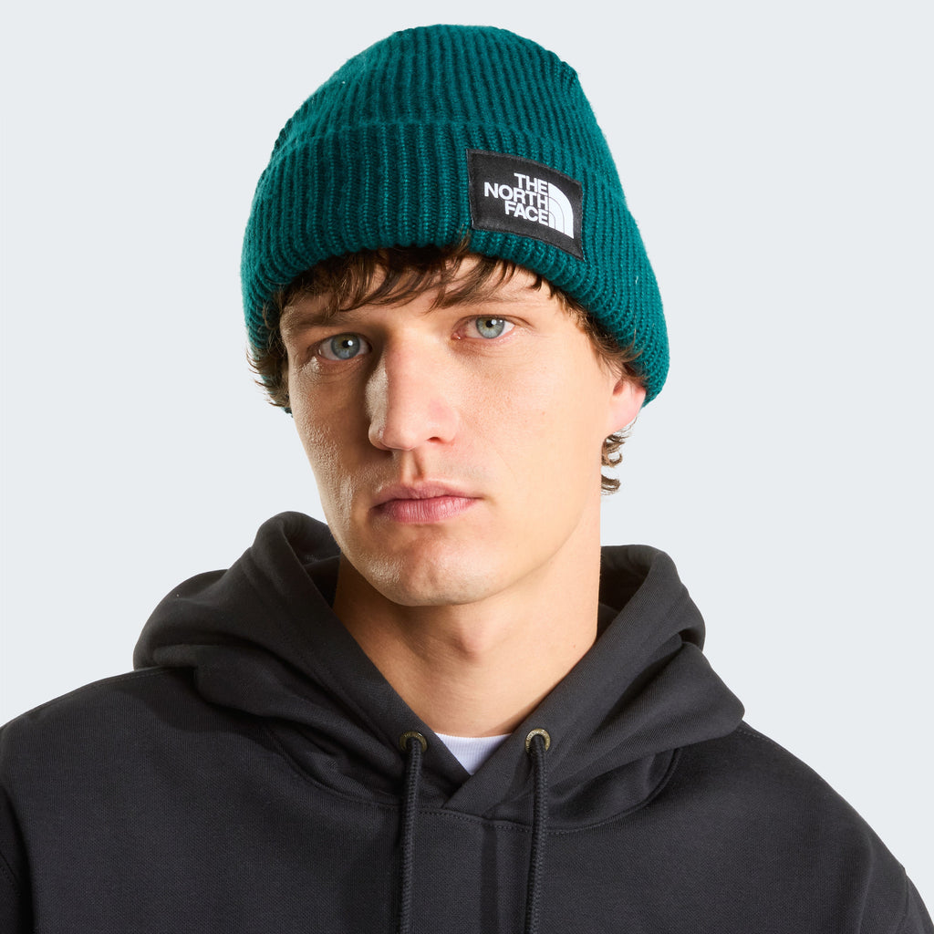 SALTY LINED BEANIE
