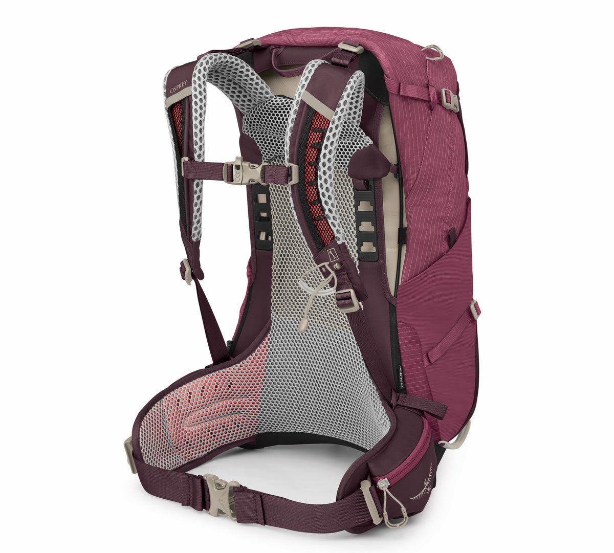 Sirrus 24 Rucksack für Tageswanderungen