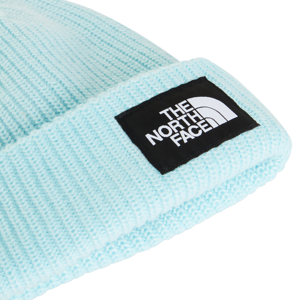 SALTY LINED BEANIE