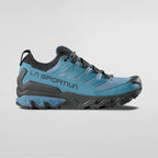 Ultra Raptor 3 GTX Herren Wanderhalbschuh