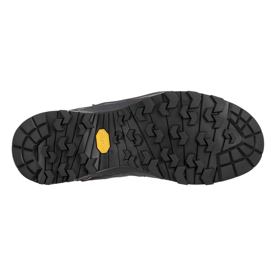 WS ALP TRAINER 2 MID GTX