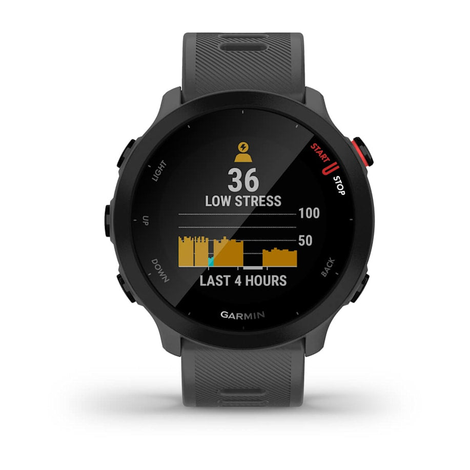 Forerunner 55 Grey GPS-Laufuhr